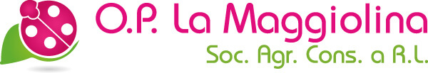 op la maggiolina logo